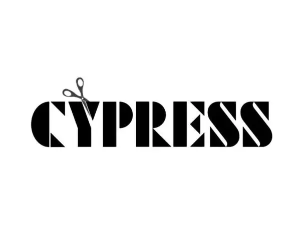 cypress-snippets-helper